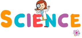 Little Science Minds